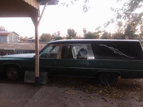 1979 Cadillac Fleetwood Hearse for sale